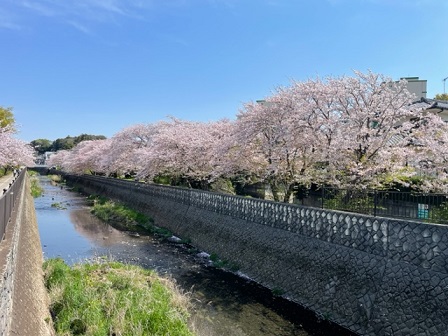 新着情報の画像